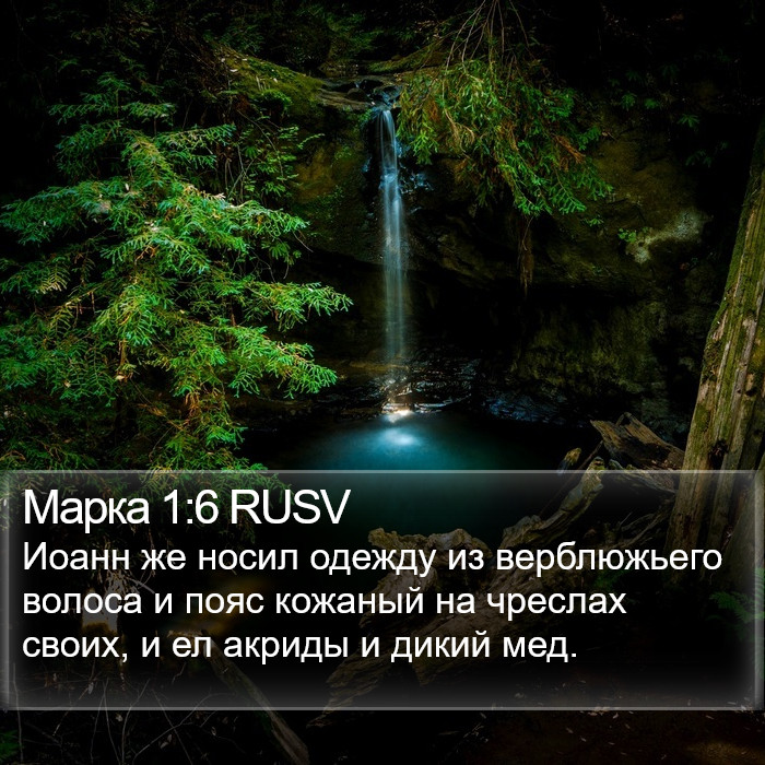 Марка 1:6 RUSV Bible Study