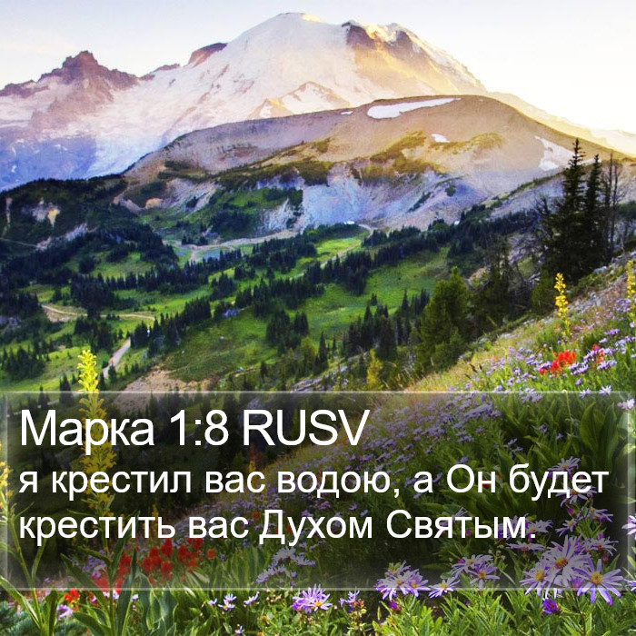 Марка 1:8 RUSV Bible Study