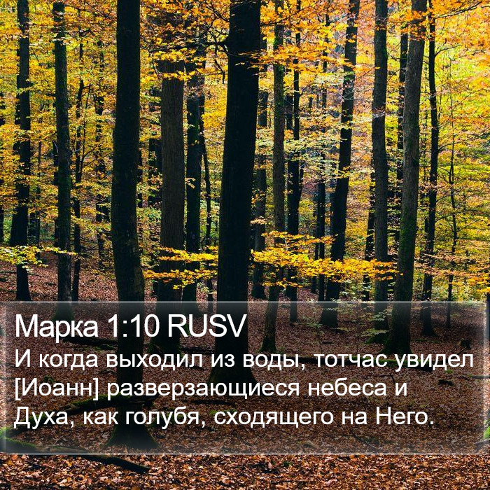 Марка 1:10 RUSV Bible Study