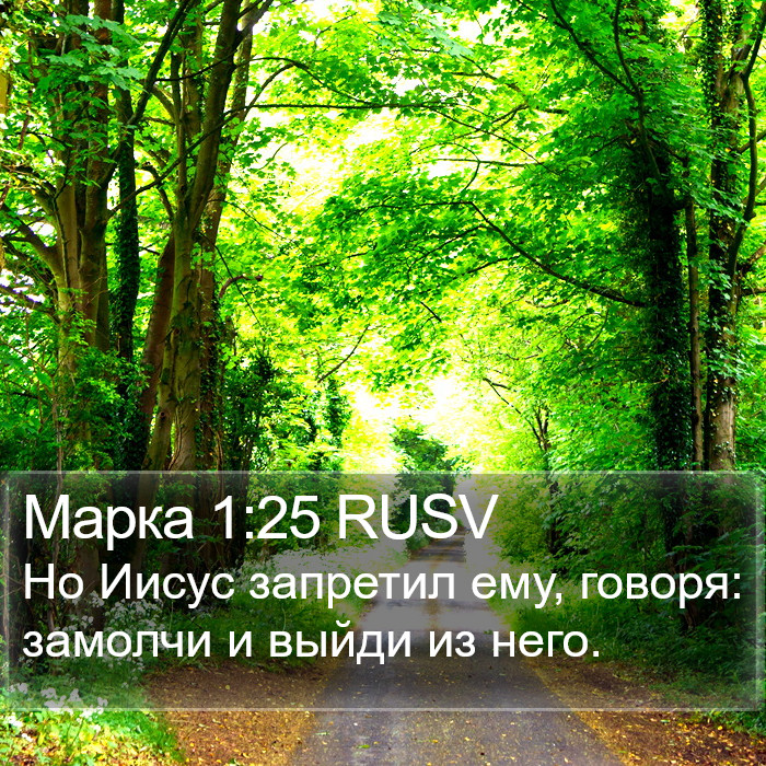 Марка 1:25 RUSV Bible Study