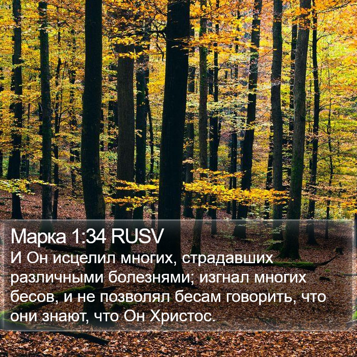 Марка 1:34 RUSV Bible Study