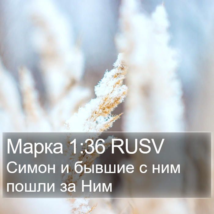 Марка 1:36 RUSV Bible Study