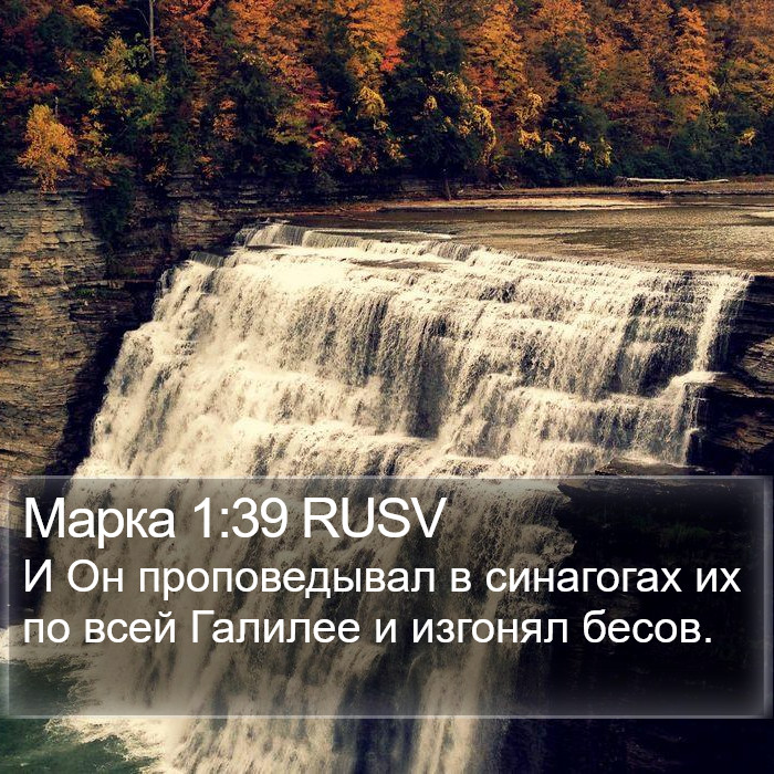 Марка 1:39 RUSV Bible Study