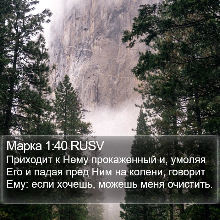 Марка 1:40 RUSV Bible Study