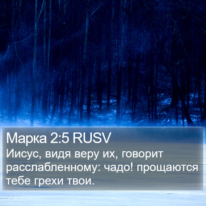 Марка 2:5 RUSV Bible Study