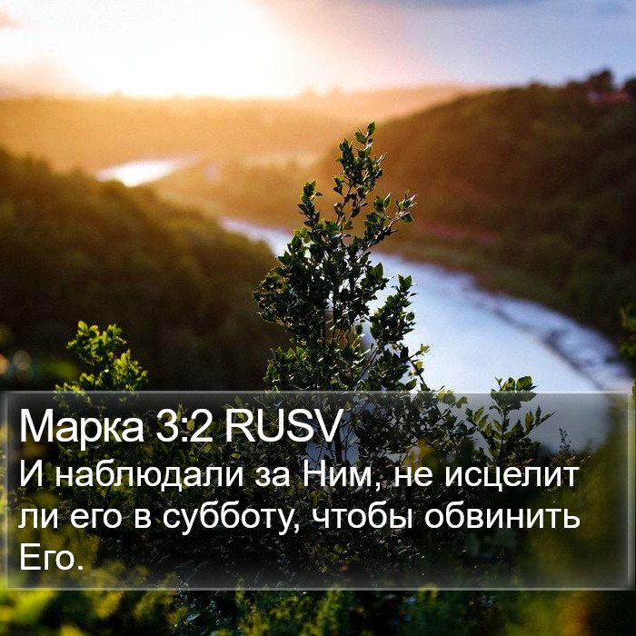 Марка 3:2 RUSV Bible Study