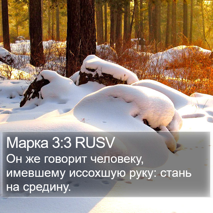 Марка 3:3 RUSV Bible Study
