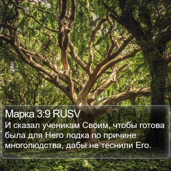 Марка 3:9 RUSV Bible Study