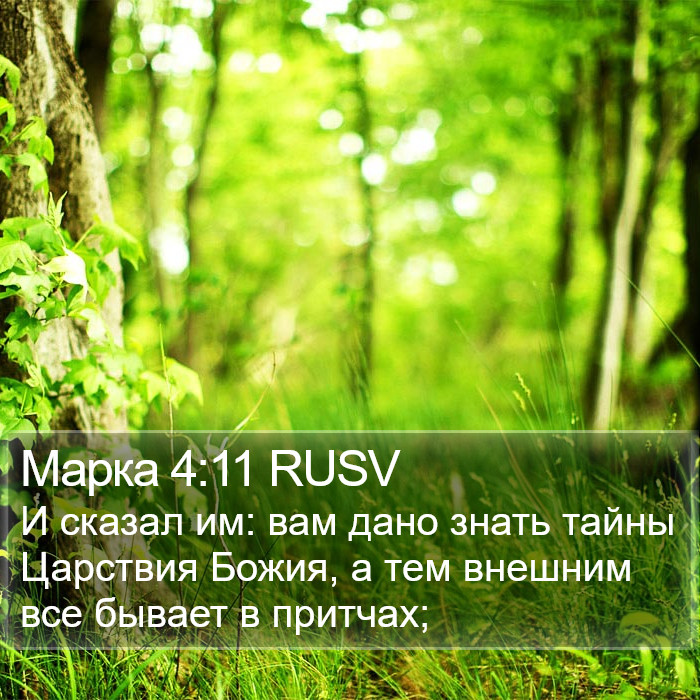 Марка 4:11 RUSV Bible Study