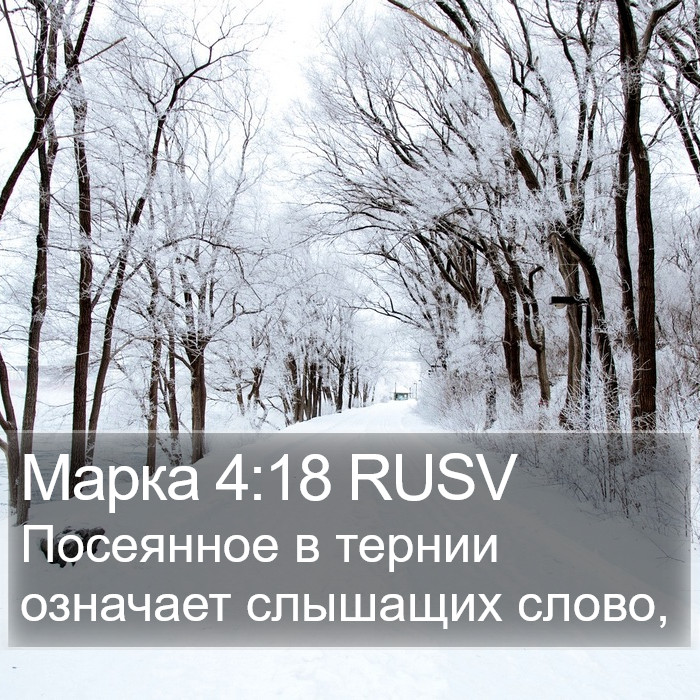 Марка 4:18 RUSV Bible Study