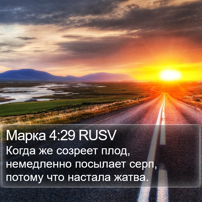 Марка 4:29 RUSV Bible Study