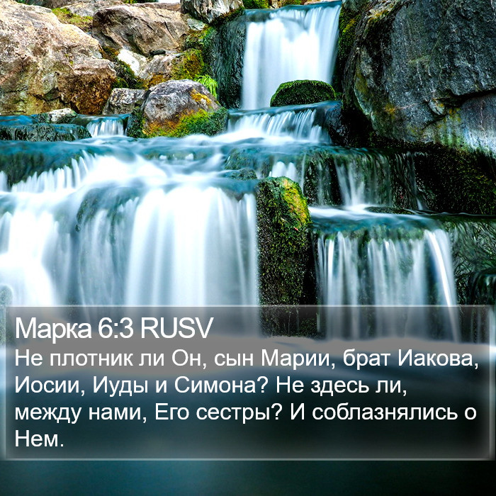 Марка 6:3 RUSV Bible Study