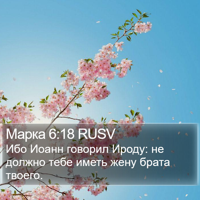 Марка 6:18 RUSV Bible Study