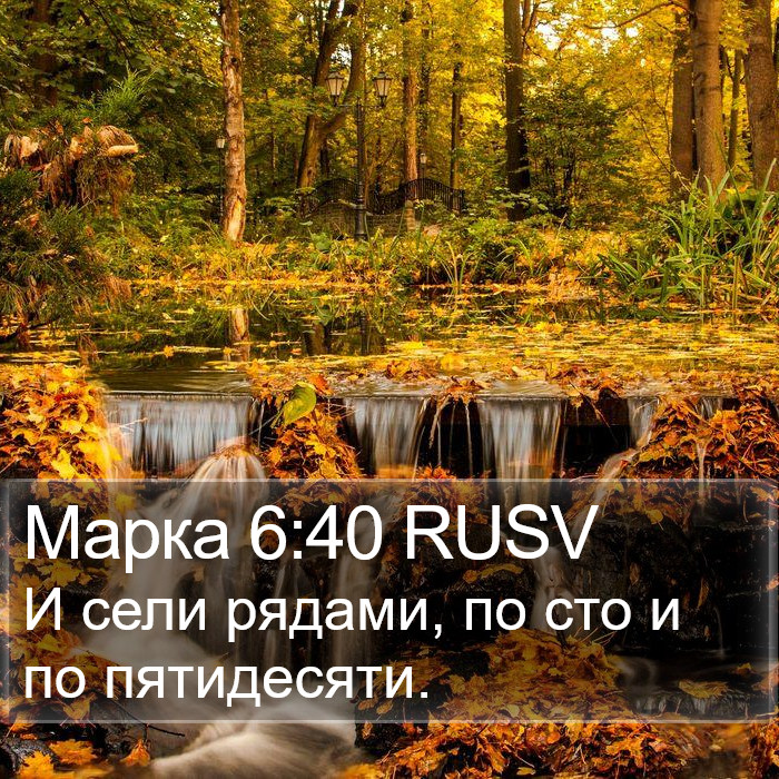 Марка 6:40 RUSV Bible Study