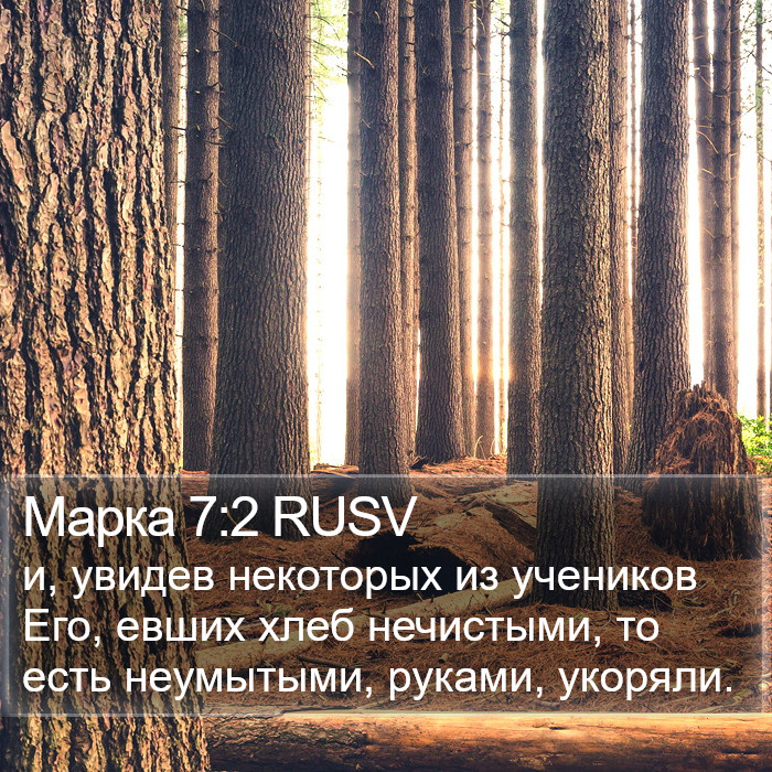 Марка 7:2 RUSV Bible Study