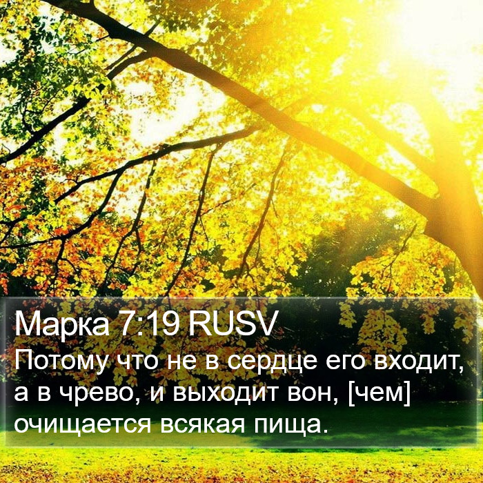 Марка 7:19 RUSV Bible Study