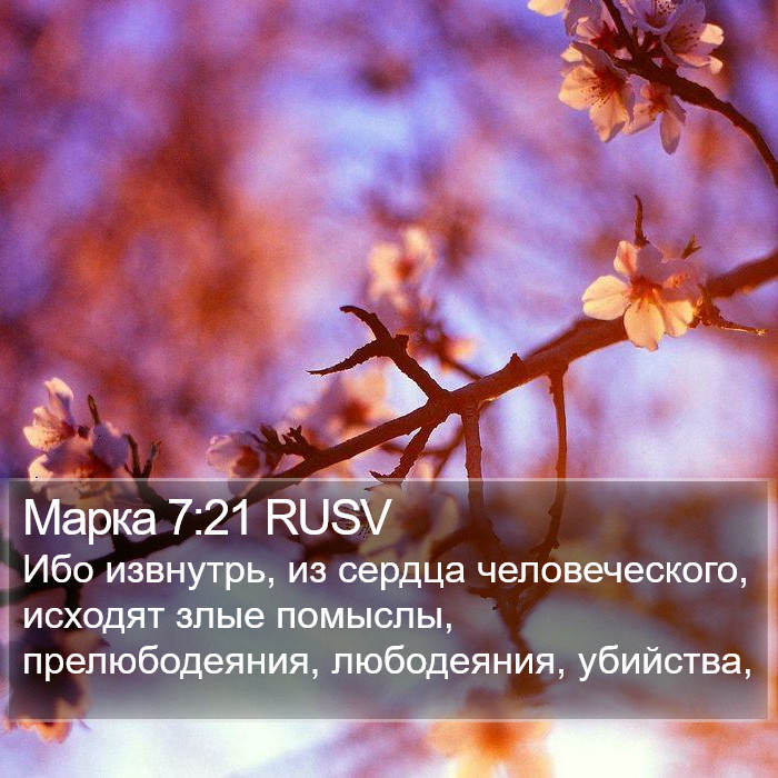 Марка 7:21 RUSV Bible Study