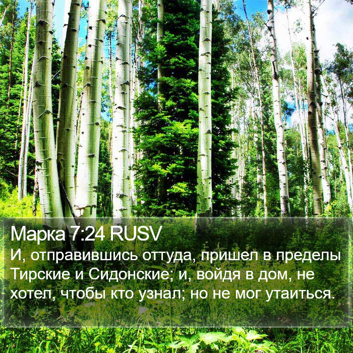 Марка 7:24 RUSV Bible Study