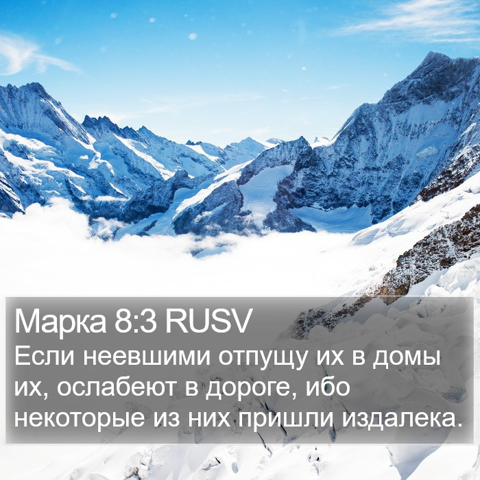 Марка 8:3 RUSV Bible Study