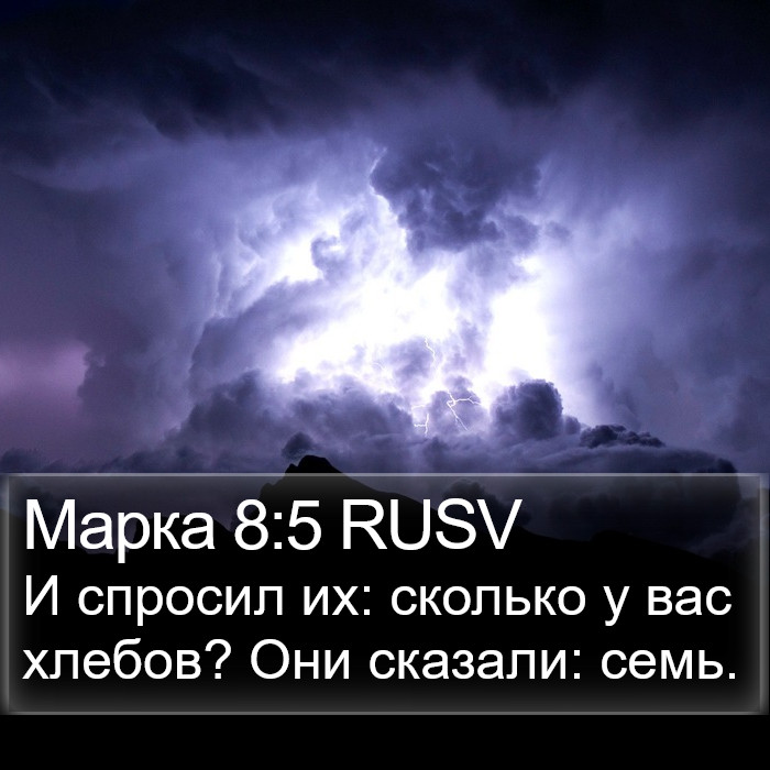 Марка 8:5 RUSV Bible Study