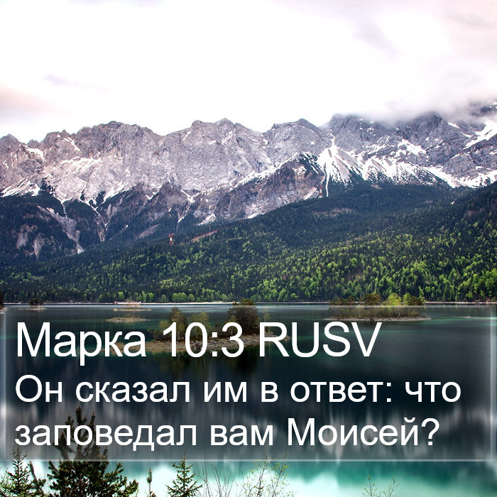 Марка 10:3 RUSV Bible Study