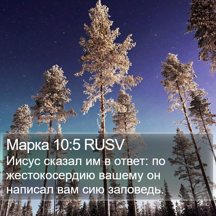 Марка 10:5 RUSV Bible Study