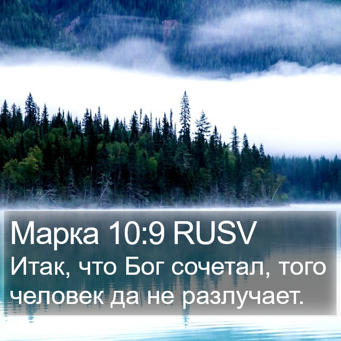 Марка 10:9 RUSV Bible Study