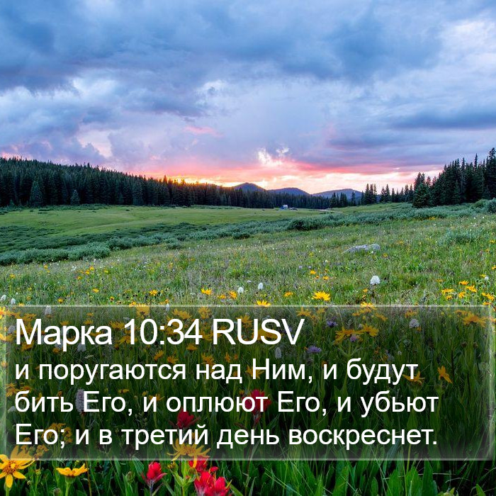 Марка 10:34 RUSV Bible Study