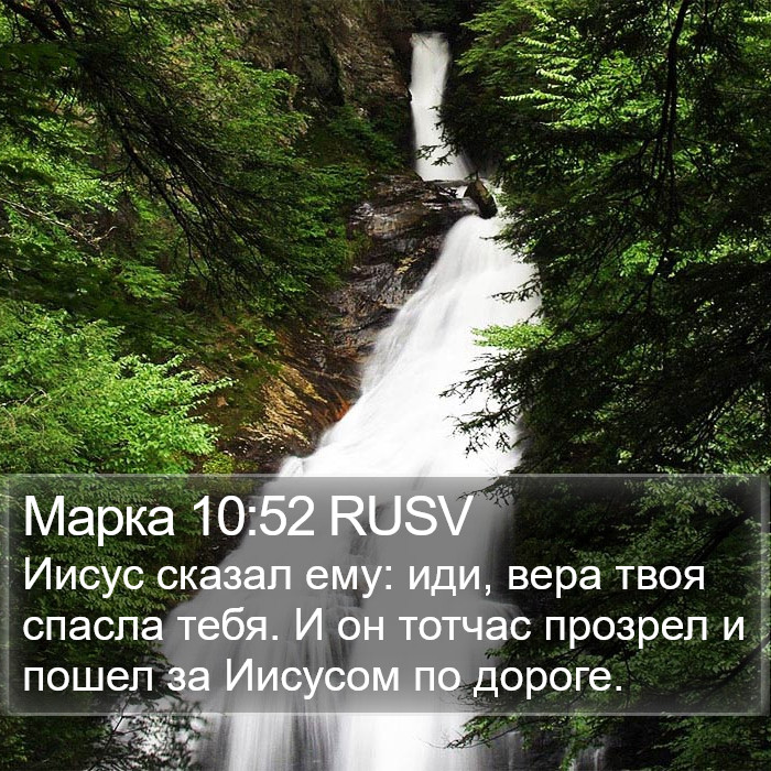 Марка 10:52 RUSV Bible Study