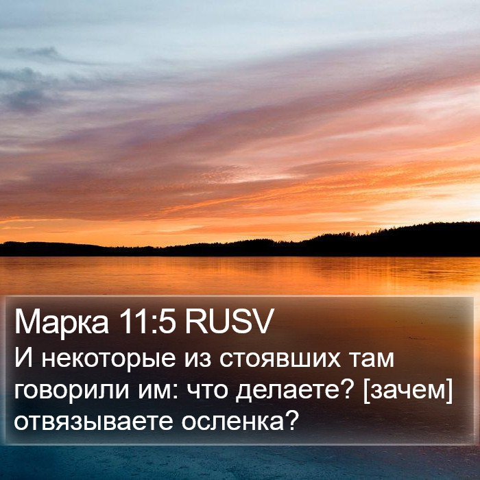 Марка 11:5 RUSV Bible Study