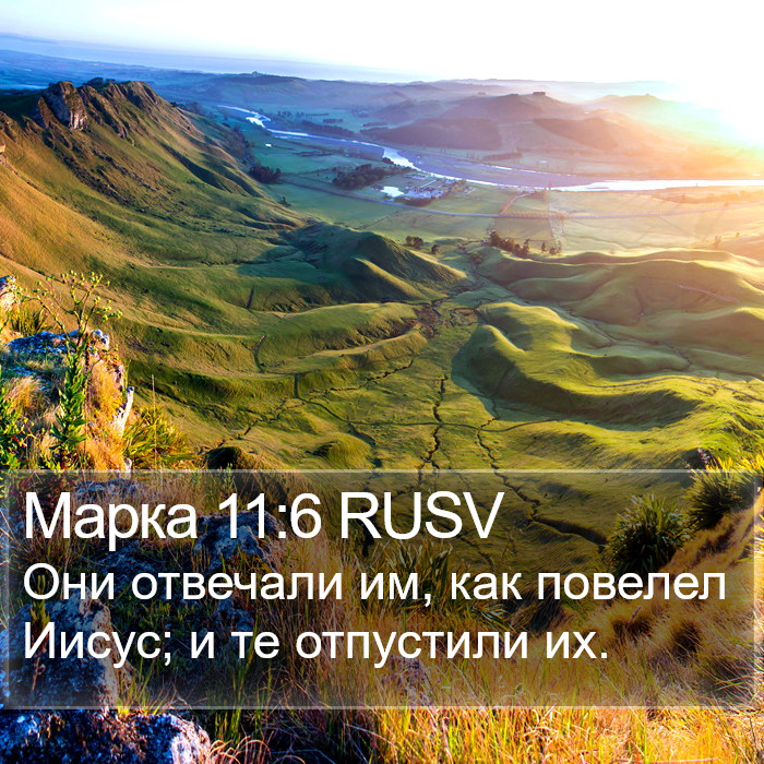 Марка 11:6 RUSV Bible Study