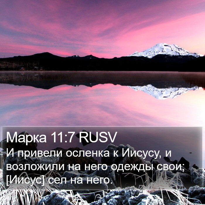 Марка 11:7 RUSV Bible Study