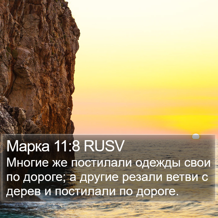 Марка 11:8 RUSV Bible Study