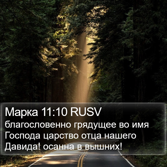 Марка 11:10 RUSV Bible Study