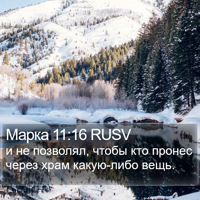 Марка 11:16 RUSV Bible Study