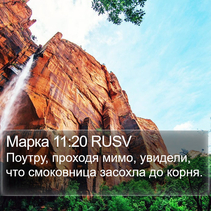 Марка 11:20 RUSV Bible Study