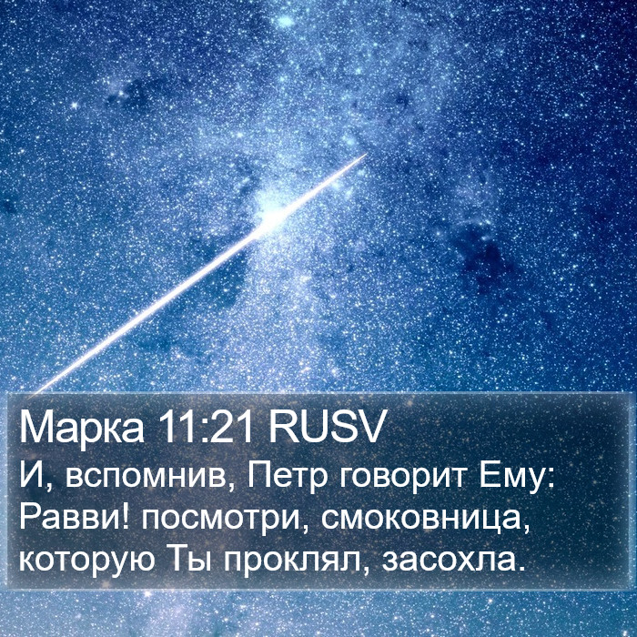 Марка 11:21 RUSV Bible Study