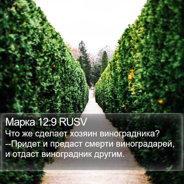 Марка 12:9 RUSV Bible Study