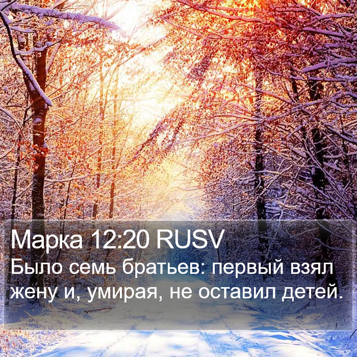 Марка 12:20 RUSV Bible Study