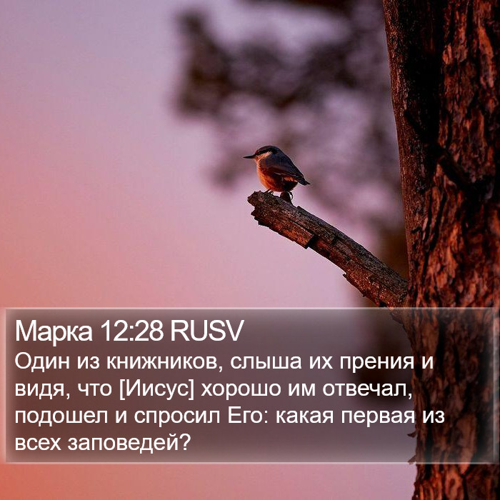 Марка 12:28 RUSV Bible Study