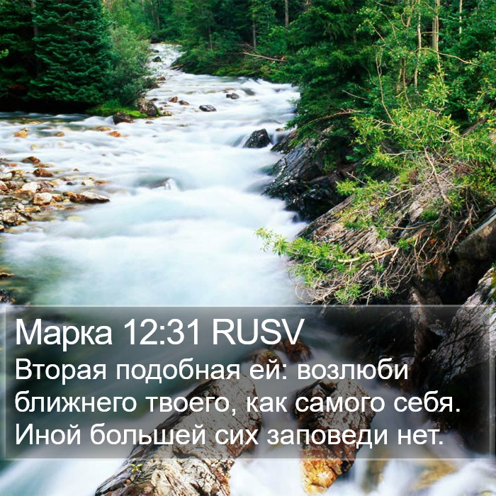 Марка 12:31 RUSV Bible Study