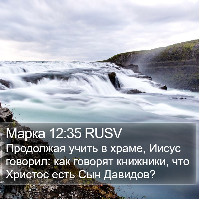 Марка 12:35 RUSV Bible Study