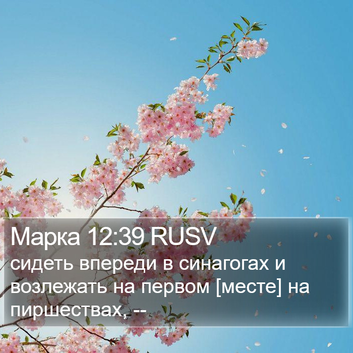 Марка 12:39 RUSV Bible Study