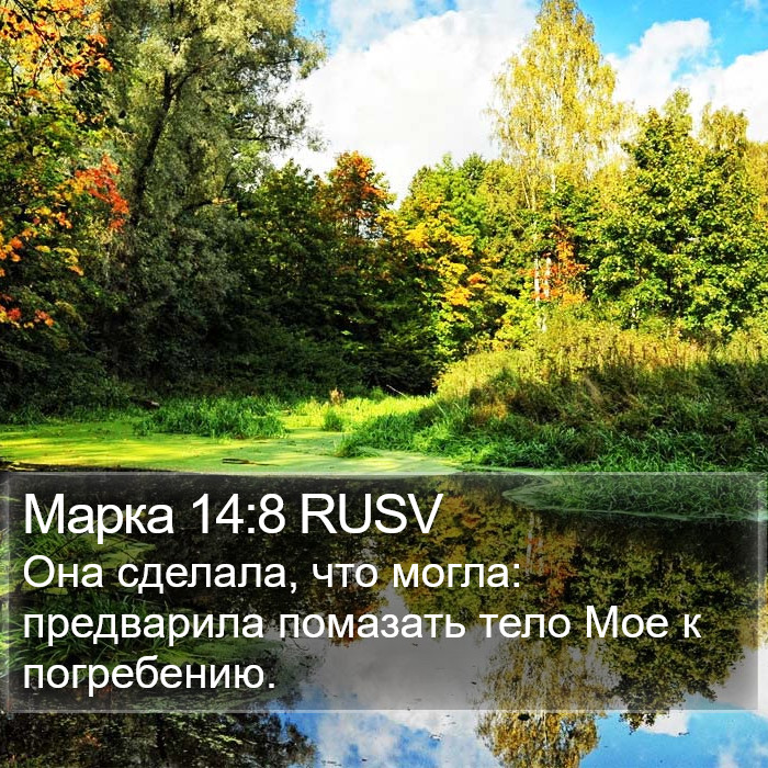 Марка 14:8 RUSV Bible Study