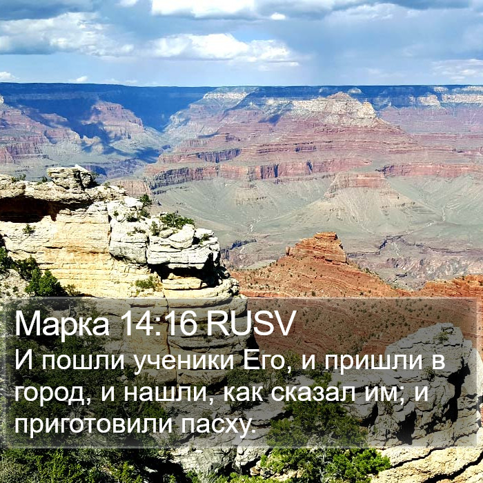 Марка 14:16 RUSV Bible Study