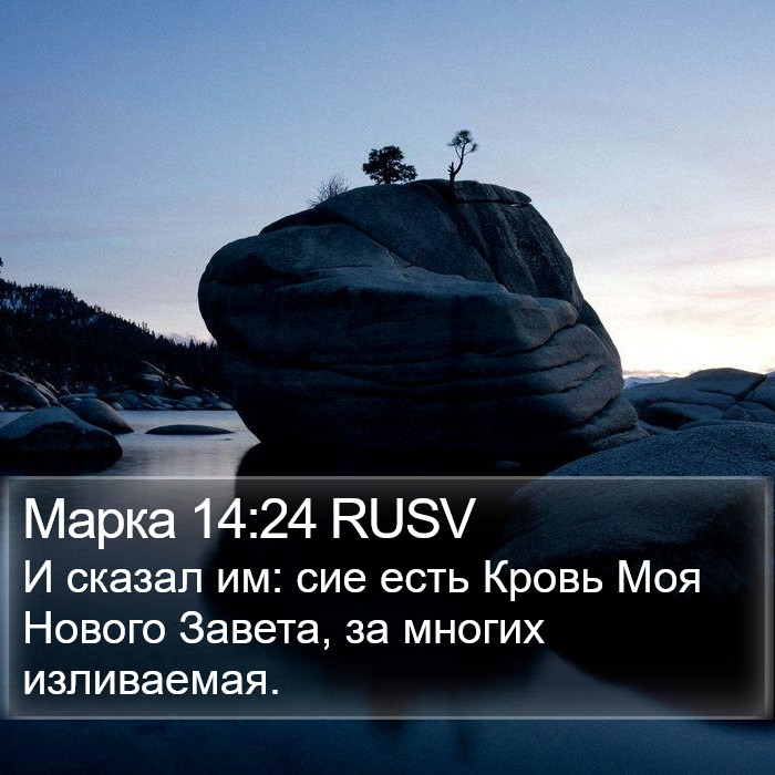 Марка 14:24 RUSV Bible Study