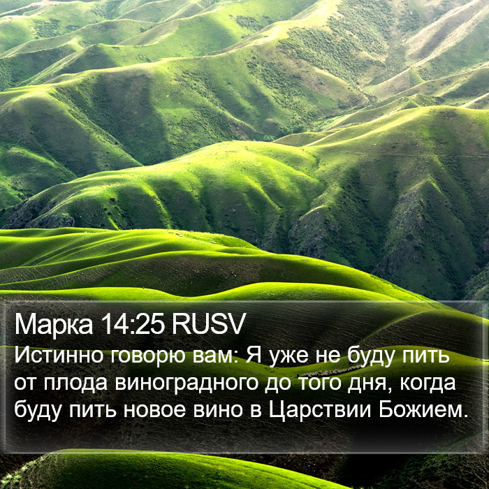 Марка 14:25 RUSV Bible Study