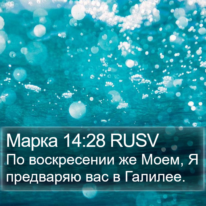 Марка 14:28 RUSV Bible Study