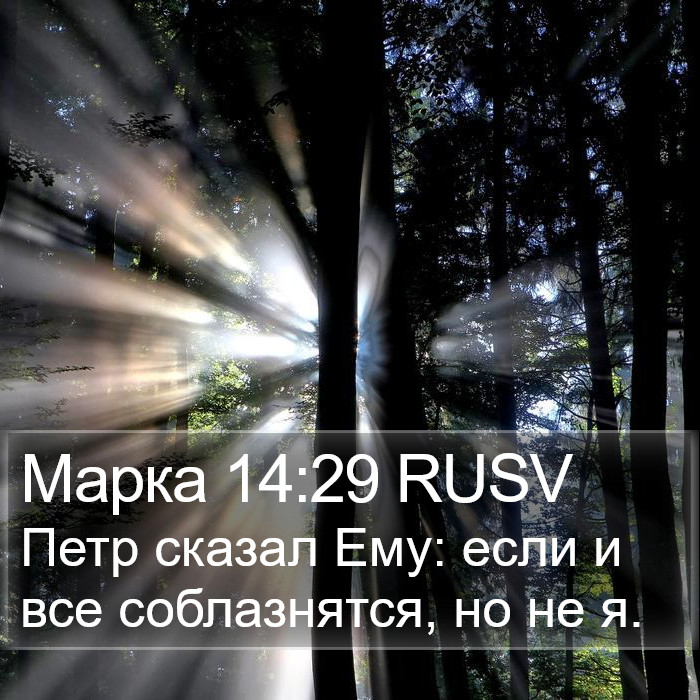 Марка 14:29 RUSV Bible Study