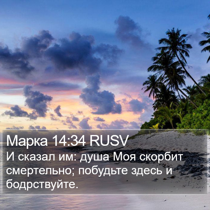 Марка 14:34 RUSV Bible Study